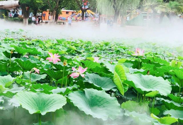 仙境般的人工雾化景观 渭滨公园白莲湖
