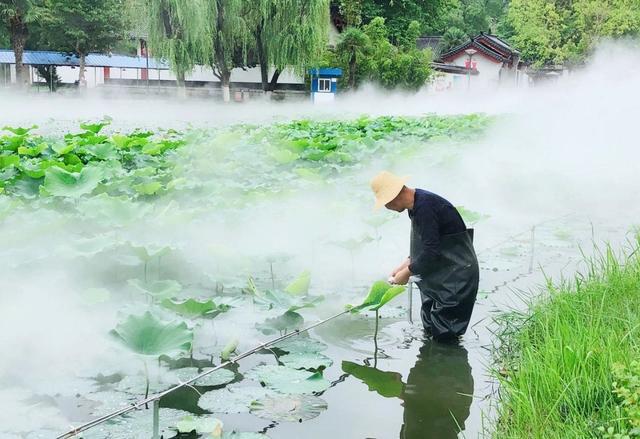 仙境般的人工雾化景观 渭滨公园白莲湖